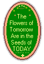 The Flowers of Tomorrow Are in the Seeds of TODAY.